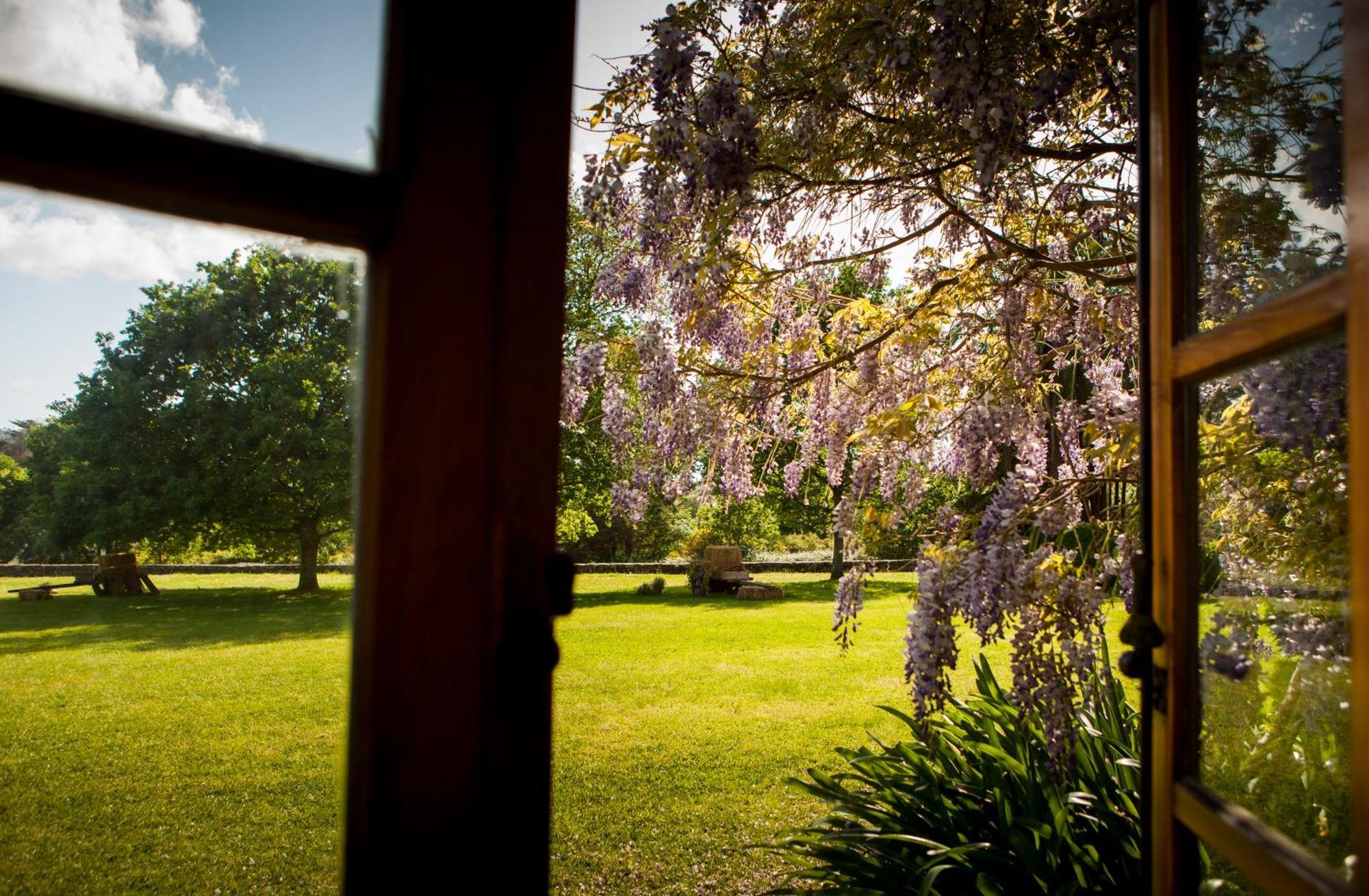 Pazo Da Touza Guest House นีกรัน ภายนอก รูปภาพ